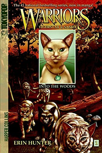 Into the woods warriors - into,
